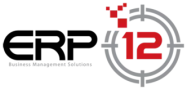ERP12 Logo — Sanatizi Referansı
